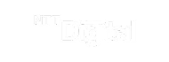 NTT Digital
